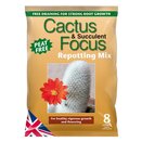 Cactus & Succulent Focus Repotting Mix Peat Free 3 L - image 2