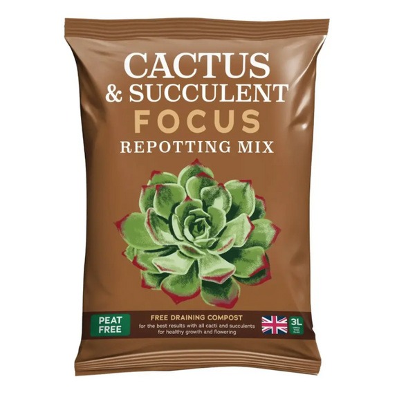 Cactus & Succulent Focus Repotting Mix Peat Free - 3 L - image 1
