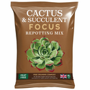 Cactus & Succulent Focus Repotting Mix Peat Free - 3 L - image 2