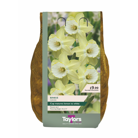 Carripack - Narcissi Binkie