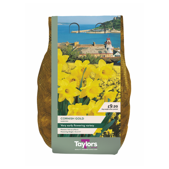 Carripack - Narcissi Cornish Gold