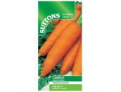 Carrot Seeds Autumn King 2 - image 1