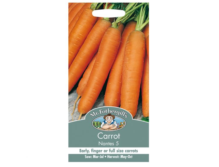 Carrot Seeds Nantes 5 - image 1