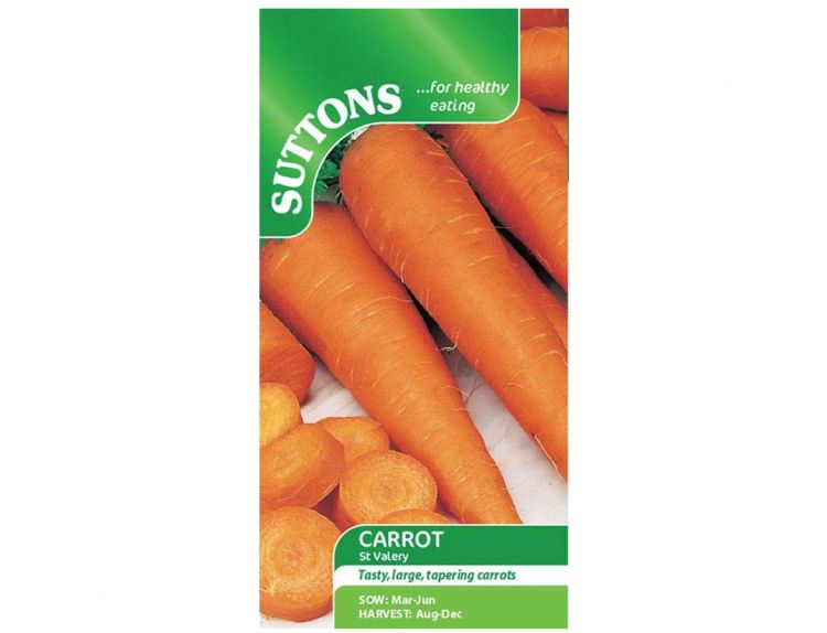 Carrot Seeds St.Valery - image 1
