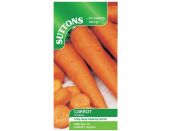 Carrot Seeds St.Valery - image 1
