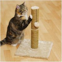 Cat Accessories