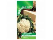 Cauliflower Seeds All The Year Round - image 1