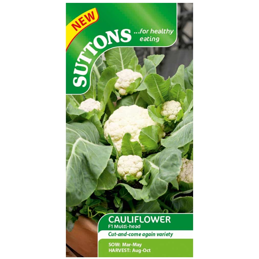 Cauliflower Seeds F1 Multihead Knights Garden Centres