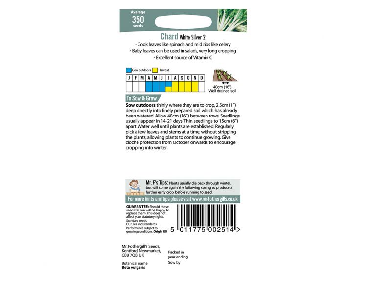 Chard Seeds White Silver 2 - image 2