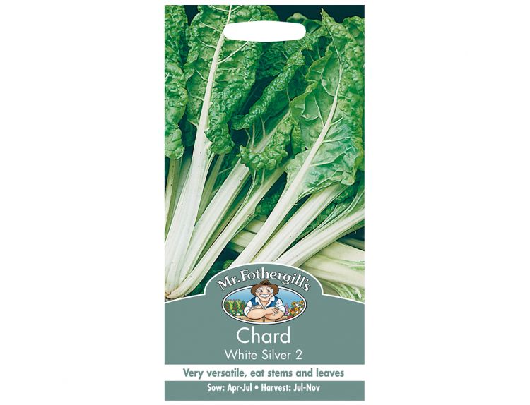 Chard Seeds White Silver 2 - image 1
