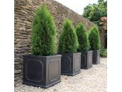 Chelsea Square Planter 27cm - image 2