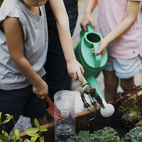 Children's Gardening