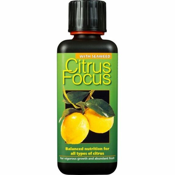 Citrus Focus