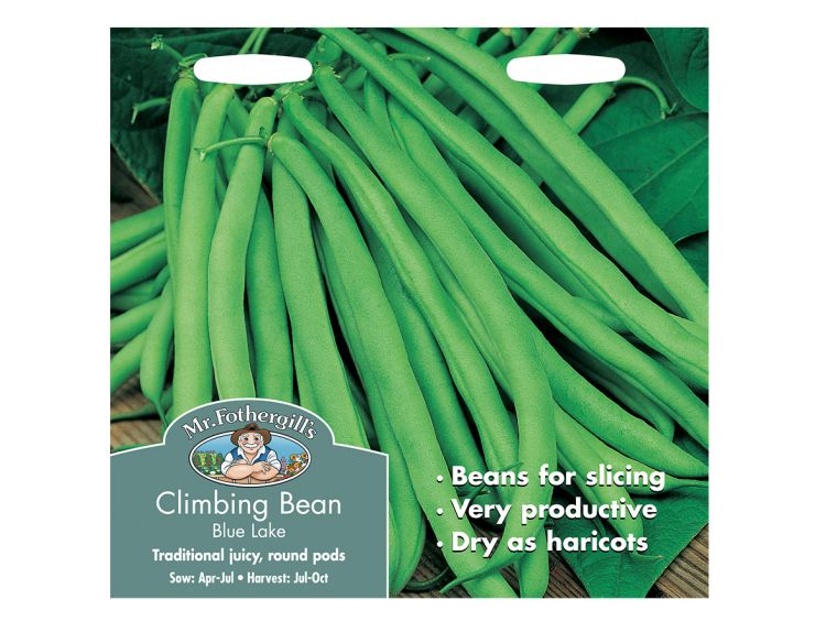 Climbing French Bean Seeds Blue Lake - image 1