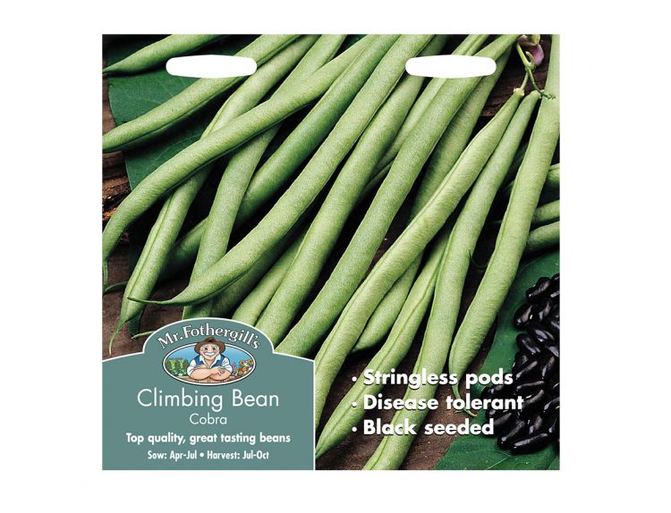 Climbing French Bean Seeds Cobra - image 1