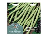 Climbing French Bean Seeds Cobra - image 1