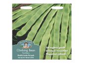 Climbing French Bean Seeds Pantheon - image 1