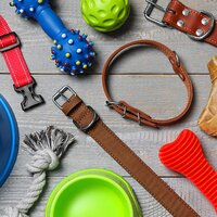 Collars, Leads & Harnesses