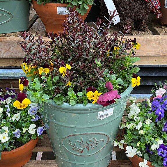 Container mix - image 2