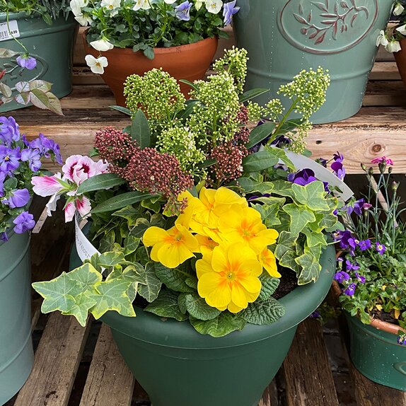 Container mix - image 3