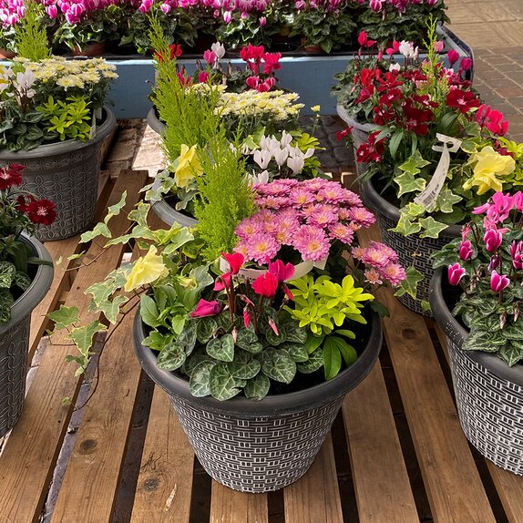 Container or Basket Autumn Mix - image 1