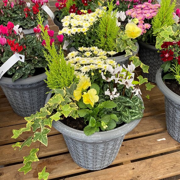 Container or Basket Autumn Mix - image 2