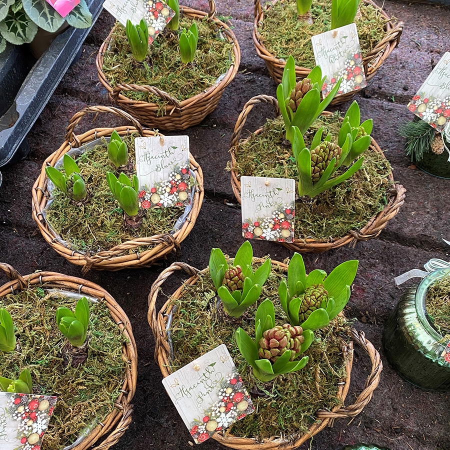 Container round rustic basket hyacinth knights garden centres