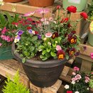 Container Spring mix 2