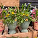 Container Summer mix 1 - image 2