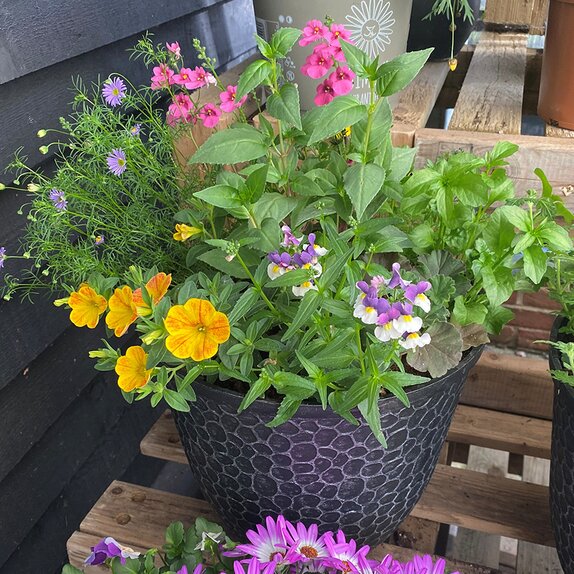 Container Summer mix 3 - image 1