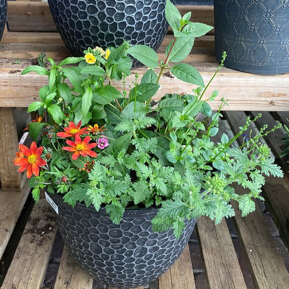 Container Summer mix 3 - image 2