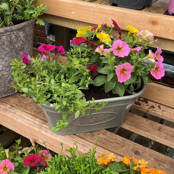 Container Summer mix 3 - image 1