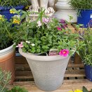 Container Summer Mix - image 2