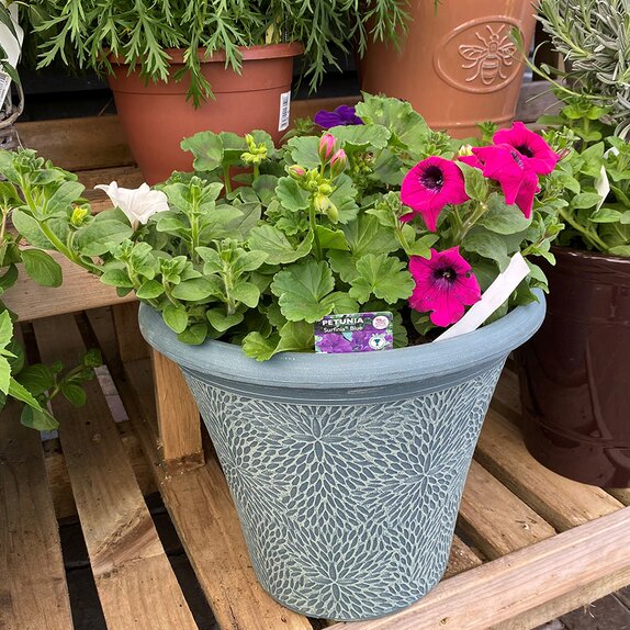 Container Summer Mix - image 3