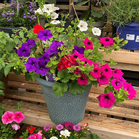 Container Summer Mix - image 1
