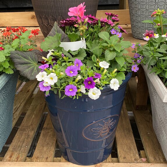 Container Summer Mix - image 2
