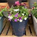 Container Summer Mix - image 2