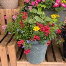Container Summer Mix - image 3