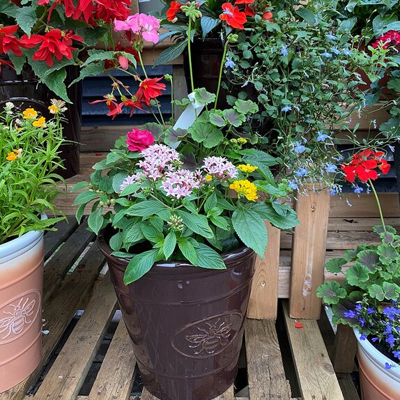 Container Summer Mix small - image 2