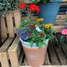 Container Summer Mix small - image 3