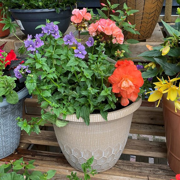 Container Summer Mix2 - image 3
