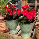 Container Summer small - image 2