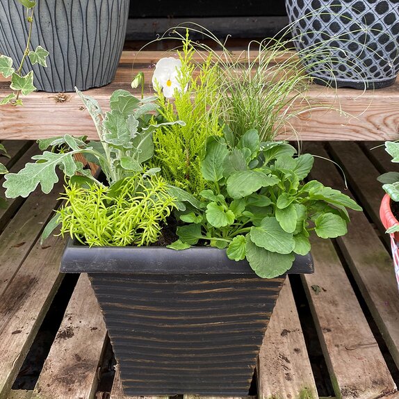 Container Tall Square - image 1