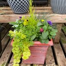 Container Tall Square - image 2