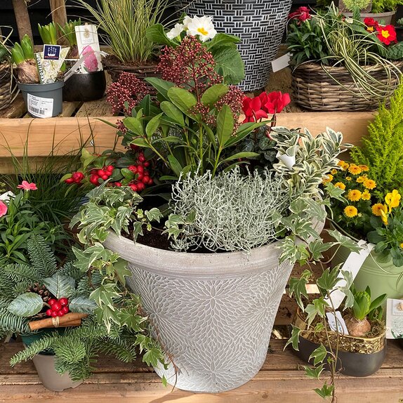 Container Winter Mix - image 1