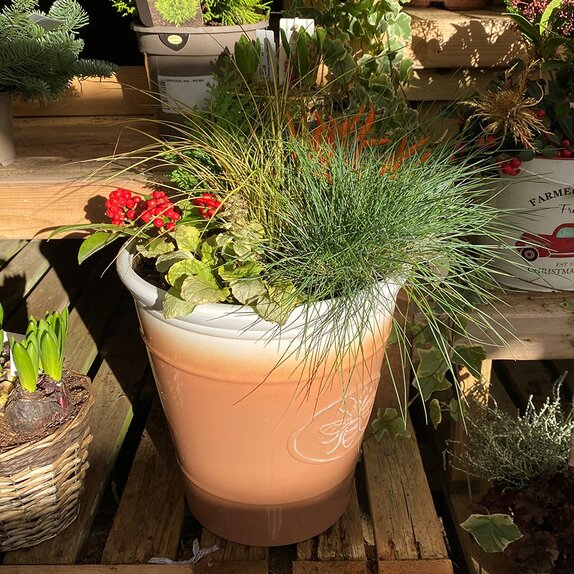 Container Winter Mix - image 2