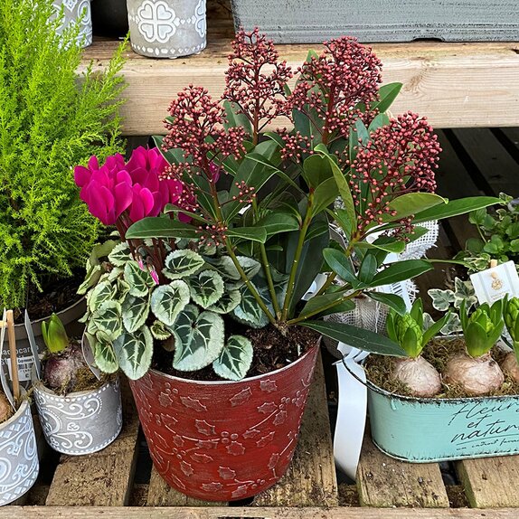 Container Winter Mix Medium Large - image 2