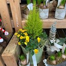 Container Winter mix small - image 1