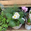 Container Winter mix small - image 3