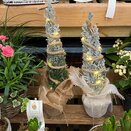 Container with decorative Chamaecyparis lawsoniana Ellwoodii